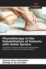 Physiotherapy in the Rehabilitation of Patients with Ankle Sprains