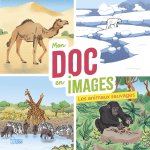 MON DOC EN IMAGES ANI. SAUVAGE