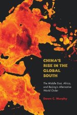 China`s Rise in the Global South – The Middle East, Africa, and Beijing`s Alternative World Order