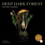 CAL 25 DEEP DARK FOREST WALL CALENDAR