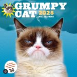 CAL 25 GRUMPY CAT WALL CALENDAR 2025