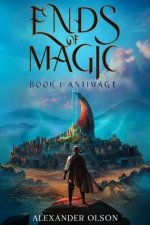 Antimage: An Isekai LitRPG Adventure (Ends of Magic Book 1)