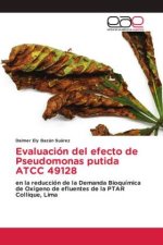 Evaluación del efecto de Pseudomonas putida ATCC 49128