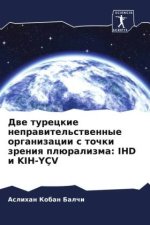 Dwe tureckie neprawitel'stwennye organizacii s tochki zreniq plüralizma: IHD i KIH-YÇV