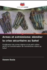 Armes et extrémisme: dém?ler la crise sécuritaire au Sahel