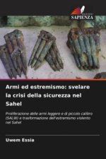 Armi ed estremismo: svelare la crisi della sicurezza nel Sahel