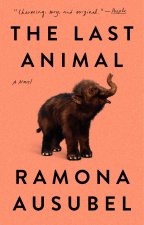 LAST ANIMAL