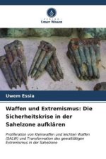 Waffen und Extremismus: Die Sicherheitskrise in der Sahelzone aufklären