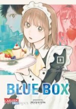 Blue Box 8