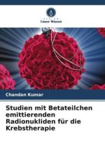 Studien mit Betateilchen emittierenden Radionukliden für die Krebstherapie