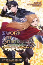 SAO PROGRESSIVE CANON GOLDEN RULE V01