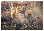 Zwischen Namib und Kalahari (Wandkalender 2024 DIN A4 quer), CALVENDO Monatskalender