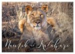 Zwischen Namib und Kalahari (Wandkalender 2024 DIN A2 quer), CALVENDO Monatskalender