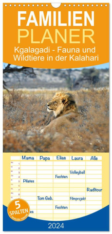 Familienplaner 2024 - Kgalagadi - Fauna und Wildtiere in der Kalahari mit 5 Spalten (Wandkalender, 21 x 45 cm) CALVENDO
