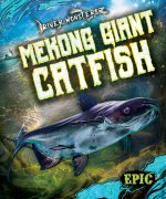 Mekong Giant Catfish
