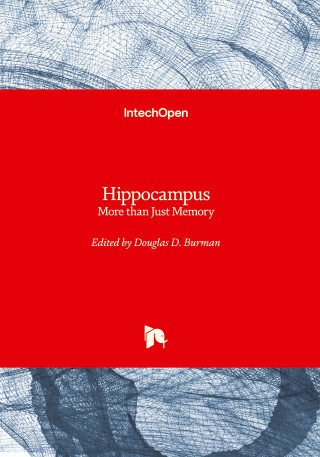 Hippocampus