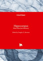 Hippocampus