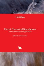 Direct Numerical Simulations
