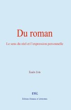 Du roman