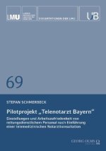 Pilotprojekt 
