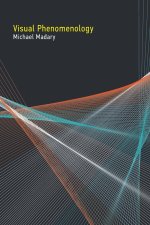 VISUAL PHENOMENOLOGY