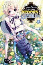 SO WHATS WRONG WITH GETTING REBORN V05