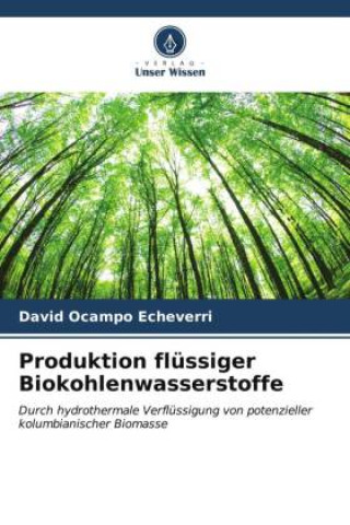 Produktion flüssiger Biokohlenwasserstoffe
