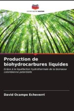 Production de biohydrocarbures liquides