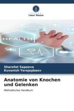 Anatomie von Knochen und Gelenken
