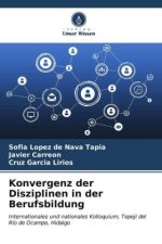 Konvergenz der Disziplinen in der Berufsbildung