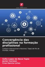 Converg?ncia das disciplinas na formaç?o profissional