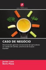 CASO DE NEGÓCIO