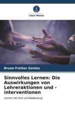 Sinnvolles Lernen: Die Auswirkungen von Lehreraktionen und -interventionen