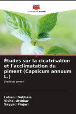 Études sur la cicatrisation et l'acclimatation du piment (Capsicum annuum L.)