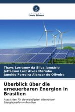 Überblick über die erneuerbaren Energien in Brasilien
