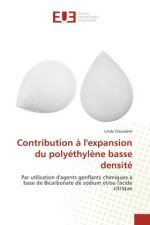 Contribution ? l'expansion du polyéthyl?ne basse densité