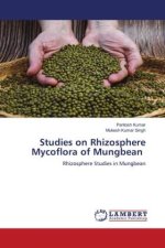 Studies on Rhizosphere Mycoflora of Mungbean