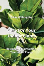 Care For Your Indoor  Plants