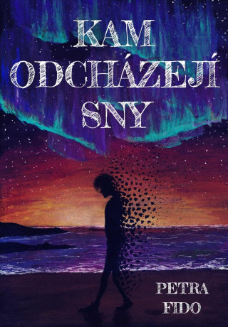 Kam odchďż˝zejďż˝ sny