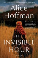 The Invisible Hour