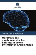 Merkmale des psychoanalytischen Settings in einem öffentlichen Krankenhaus