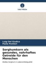 Sorghumkorn als gesundes, nahrhaftes Getreide für den Menschen