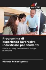 Programma di esperienza lavorativa industriale per studenti
