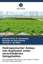 Hydroponischer Anbau von Kopfsalat unter verschiedenen Salzgehalten