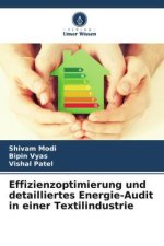 Effizienzoptimierung und detailliertes Energie-Audit in einer Textilindustrie