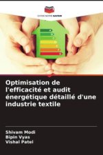 Optimisation de l'efficacité et audit énergétique détaillé d'une industrie textile