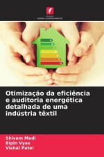 Otimizaç?o da efici?ncia e auditoria energética detalhada de uma indústria t?xtil