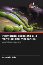 Polmonite associata alla ventilazione meccanica