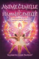 Anime gemelle & fiamme gemelle