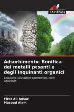 Adsorbimento: Bonifica dei metalli pesanti e degli inquinanti organici